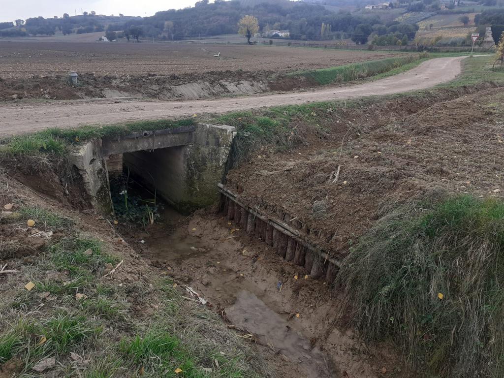  - palizzata Fosso della Fornace loc. Torre di Montefalco