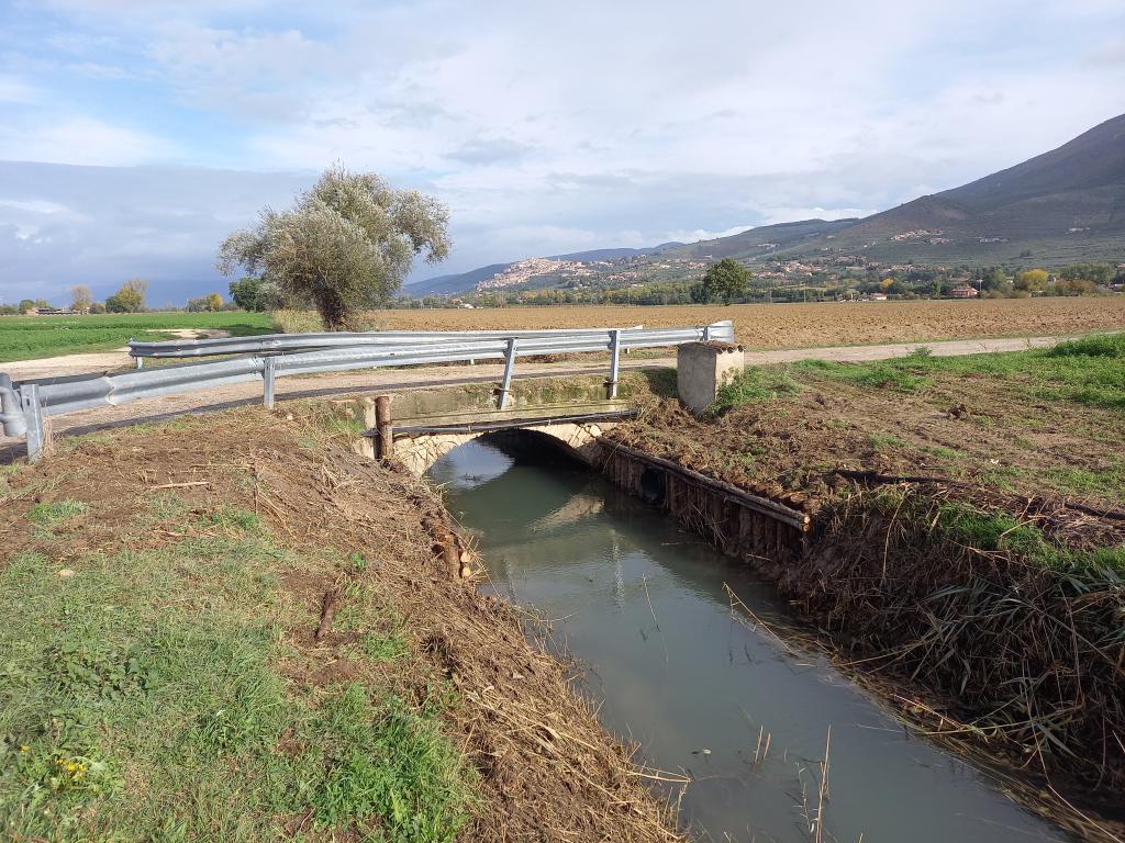  - Palizzata Fosso La Rota a valle fattoria La Morella