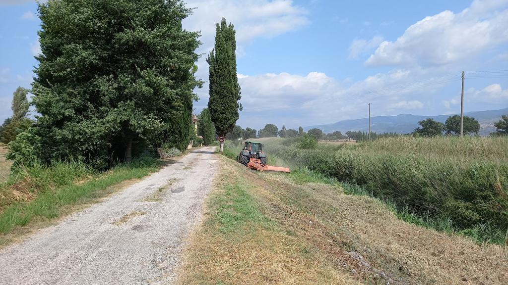  - sfalcio Torrente Tatarena a valle loc. Bruna