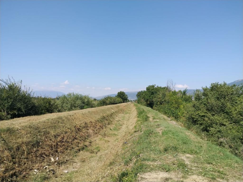  - Alveo di San Lorenzo tratto a valle cassa espansione S. Anna