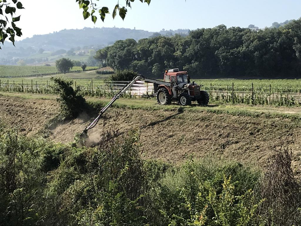  - Fiume Teverone: sfalcio nel tratto compreso tra ponte Ruscitolo in loc. Torre di Montefalco e lo Sportone Maderno.