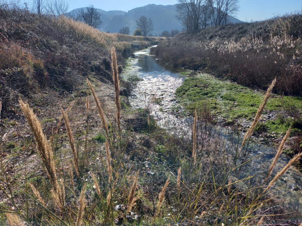  - Foto erosione in destra idrografica ante operam