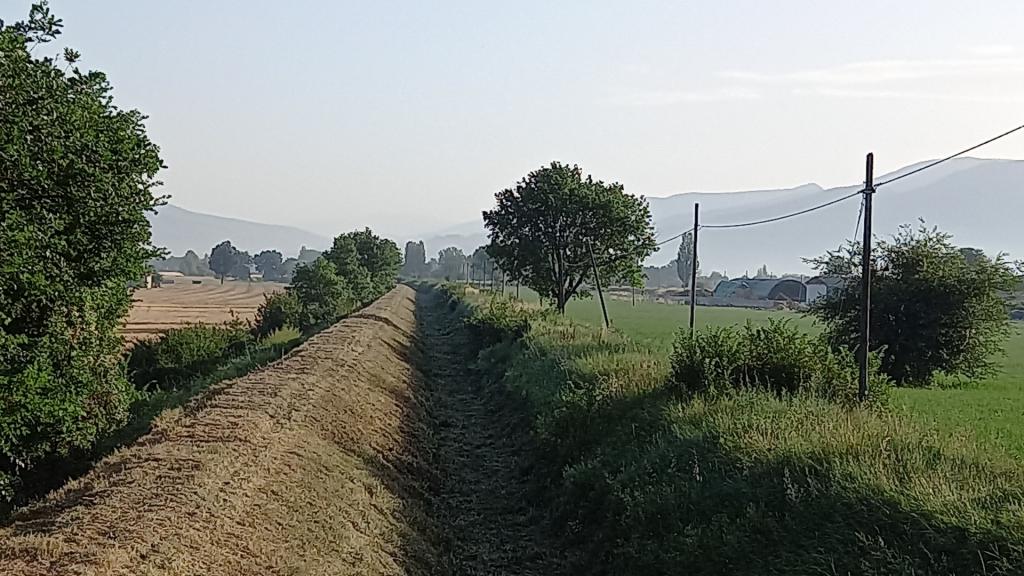  - sfalcio Torrente Cocugno a valle strada Fabbri di Montefalco