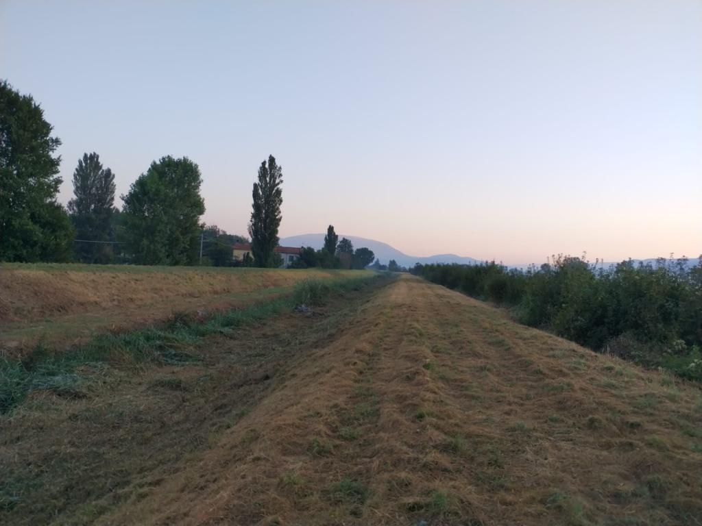  - Torrente Tatarena a monte e valle loc. Capanne