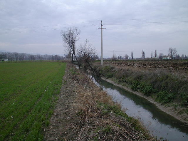  - F. ALVEOLO PRIMA DEI LAVORI, LUNGO IL TRATTO Dâ€™INTERVENTO, VISTA VERSO IL PONTE SULLA S.P. FOLIGNO-MONTEFALCO