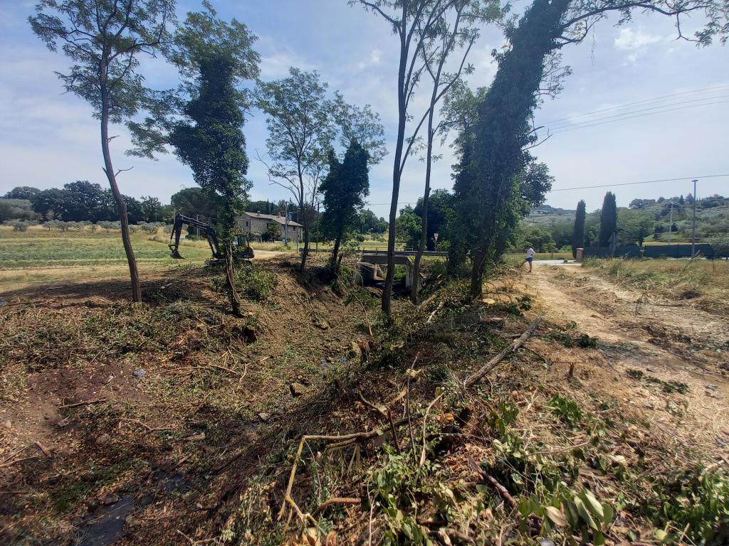  - Fosso Maggiore tratto a valle ponte Via Montelino loc. Signoria Bettona