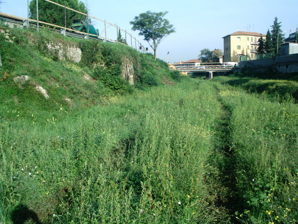  - T. TESSINO STATO PRECEDENTE ALLA SISTEMAZIONE IDRAULICA