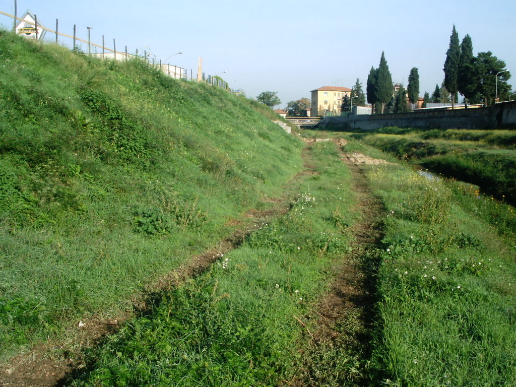  - T. TESSINO STATO PRECEDENTE ALLA SISTEMAZIONE IDRAULICA