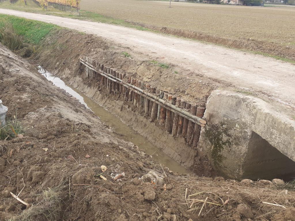  - palizzata Fosso della Fornace loc. Torre di Montefalco