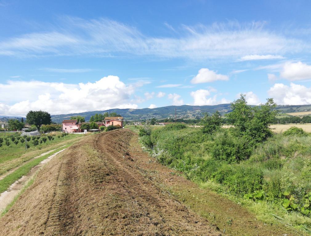  - sfalcio torrente Attone a valle Cantalupo