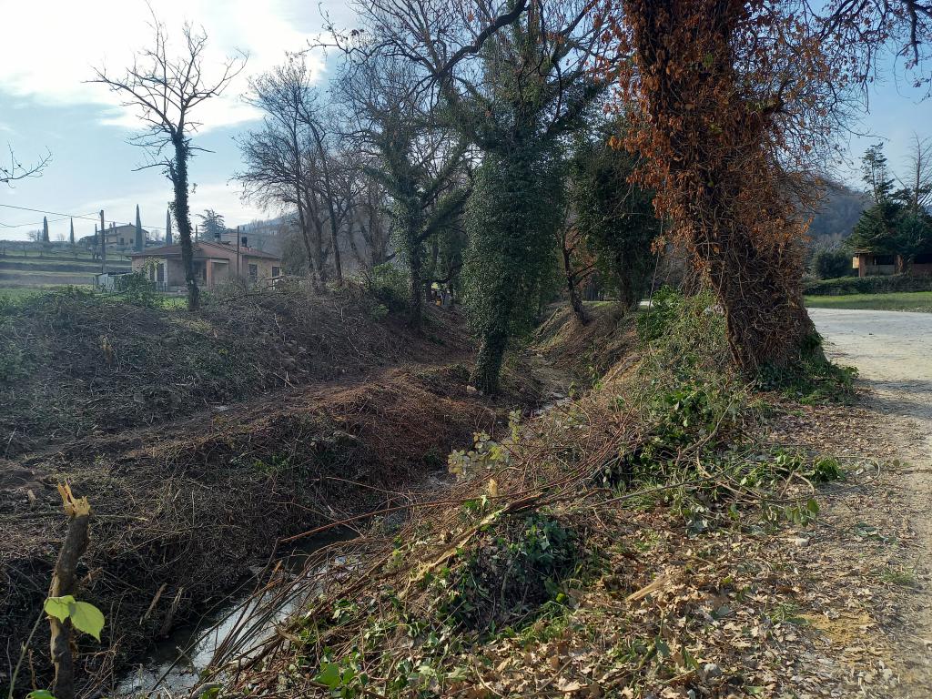  - Torrente Sambro sfalcio ed estirpatura tratto a monte ponte via Molinella