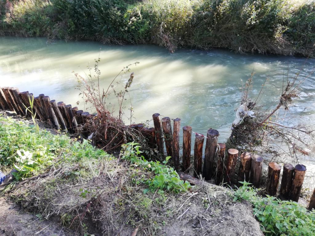  - Realizzazione palizzata in destra idraulica Fiume Timia in Comune di Bevagna