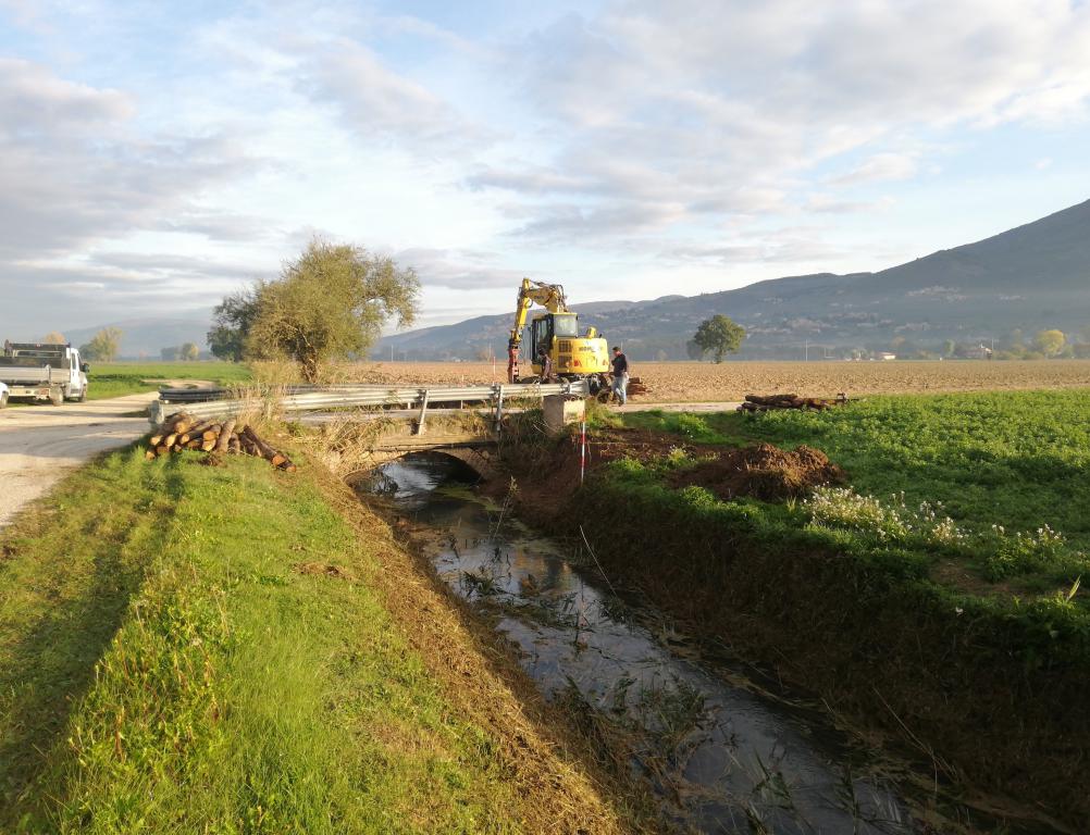  - Palizzata Fosso La Rota a valle fattoria La Morella