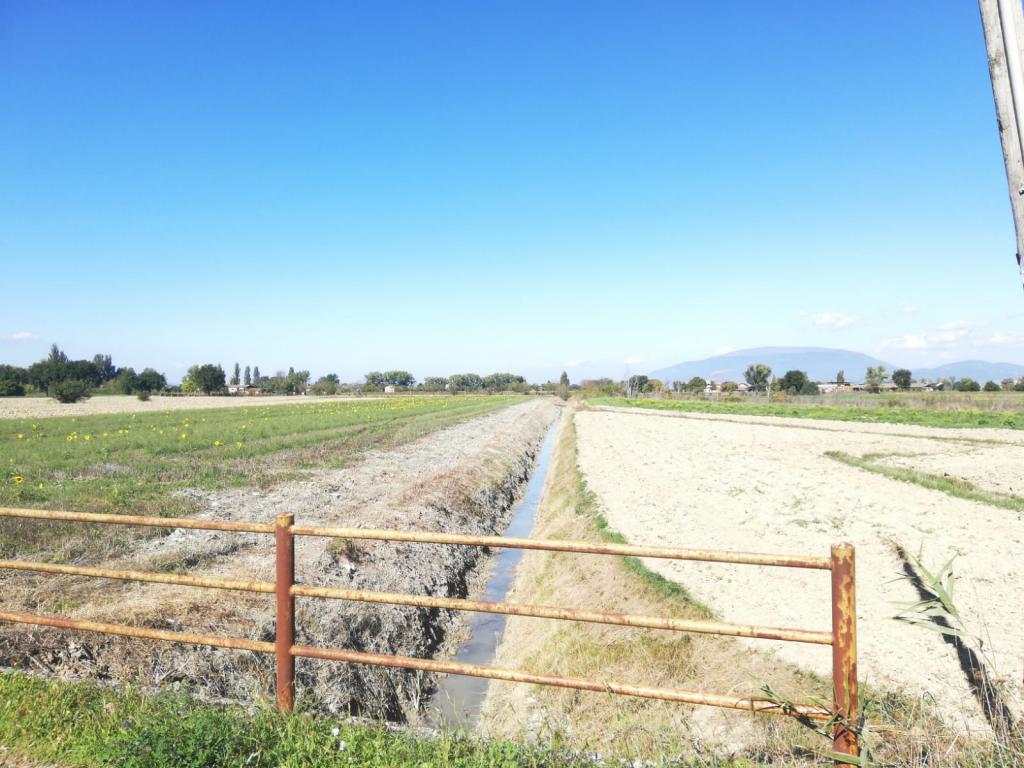  - Fossa Padule a valle strada Prati di Parrano