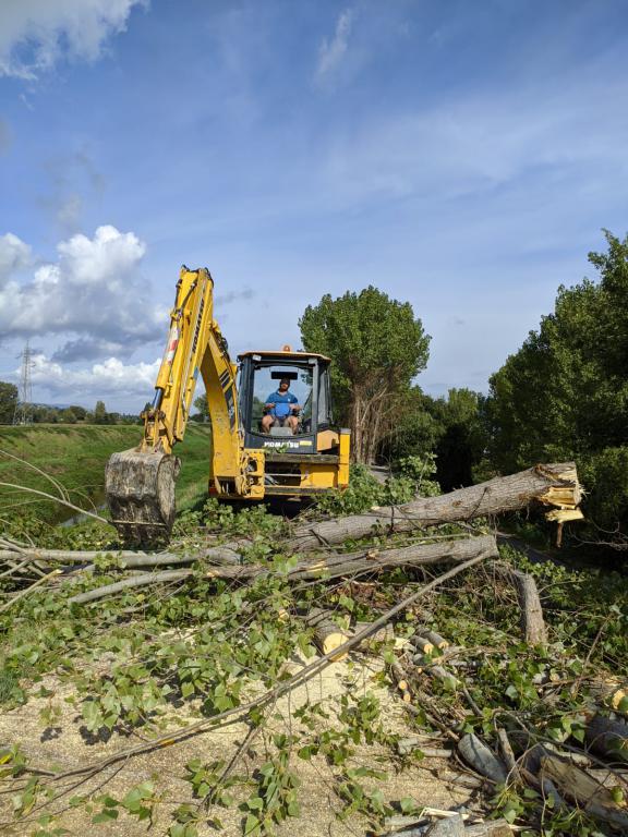  - Taglio selettivo di alberature  lungo l'asta Marroggia-Teverone-Timia