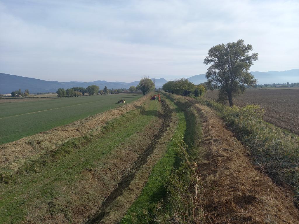  - sfalcio Torrente Chiona tratto a monte strada Budino-Cannara