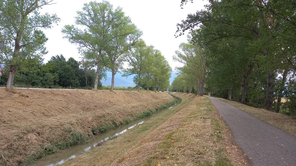  - sfalcio Torr. Teverone a monte Torre di Montefalco