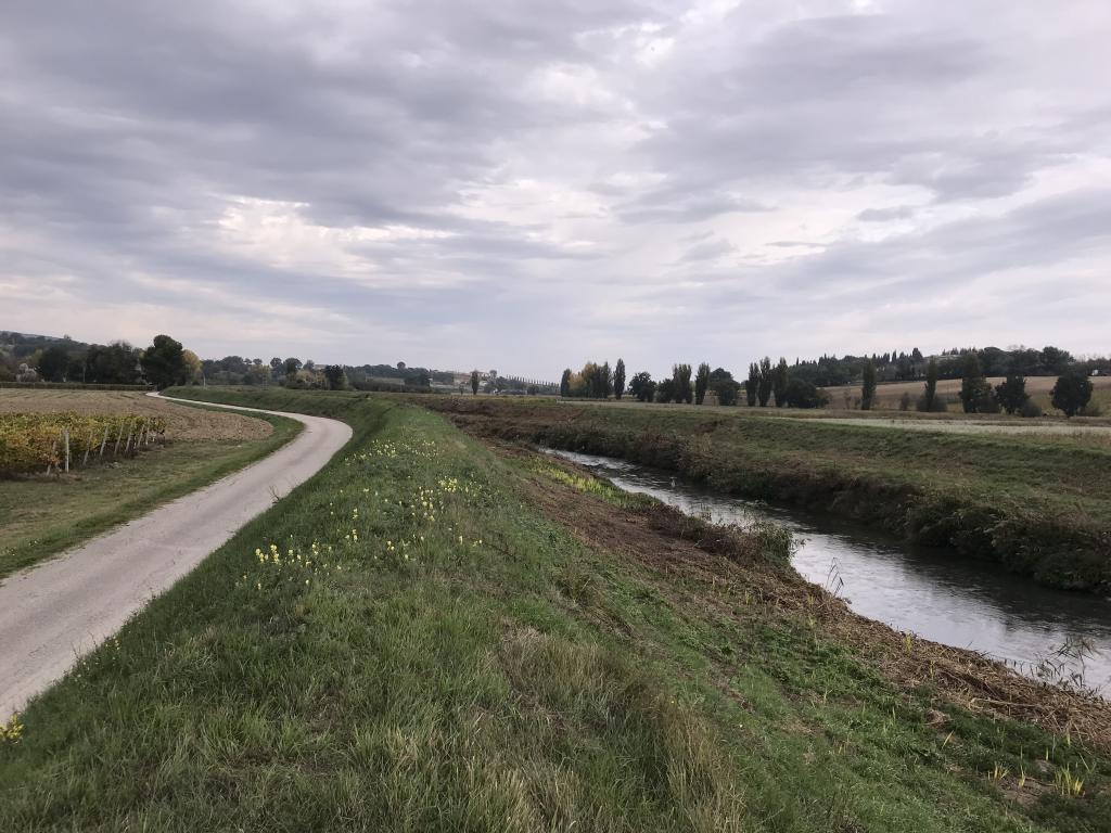  - Ultimazione lavori. Fiume Timia tratto da ponte Sant'Agostino a ponte dell'Isola.