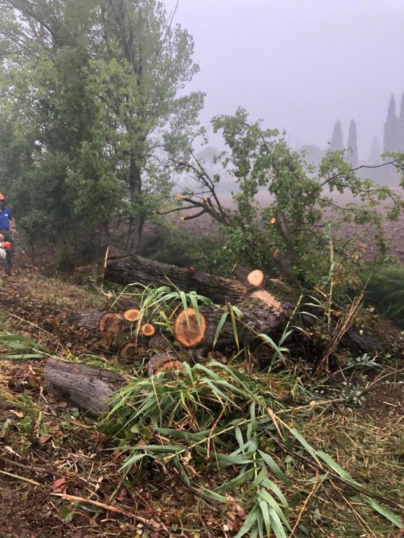  - Taglio selettivo di alberature  lungo l'asta Marroggia-Teverone-Timia