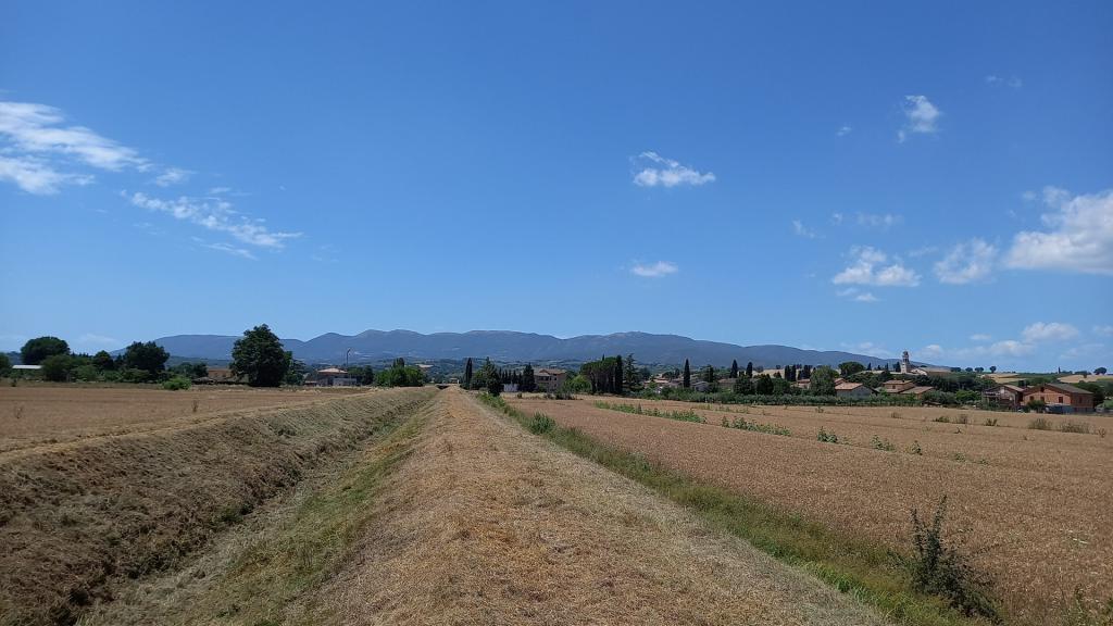  - sfalcio Torrente Cocugno a monte confluenza con Fossato Gallo