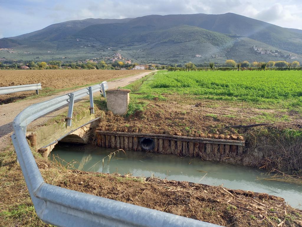  - Palizzata Fosso La Rota a valle fattoria La Morella