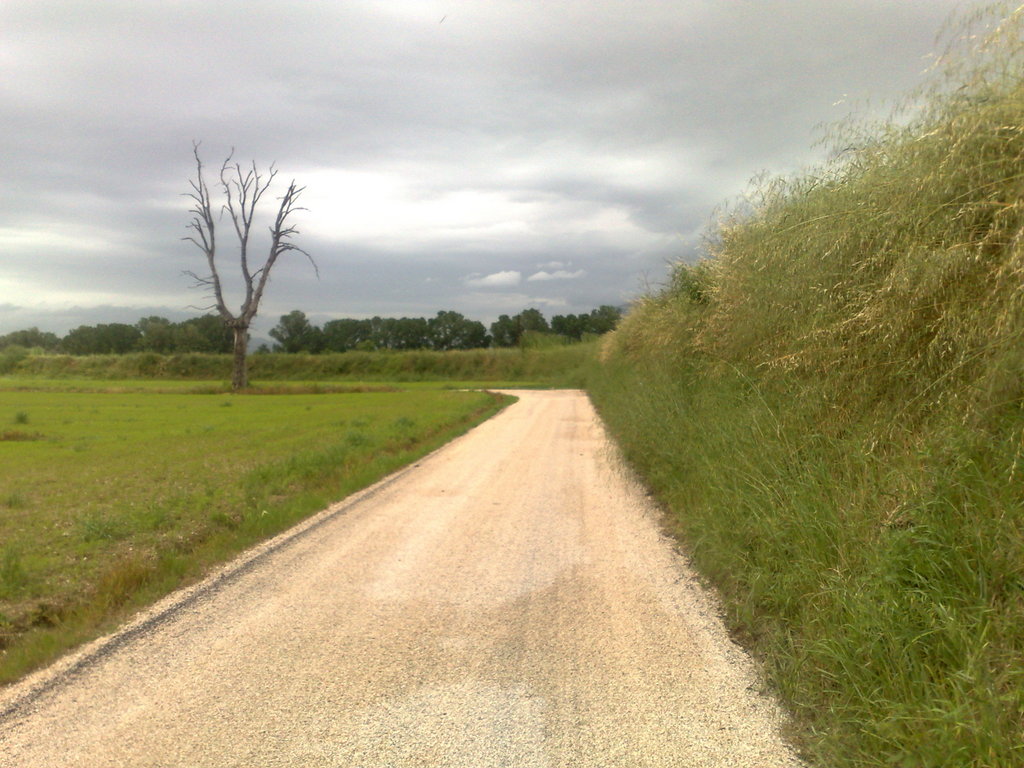  - PAVIMENTAZIONE ECOLOGICA SU STRADA BIANCA NEL COMUNE DI CANNARA