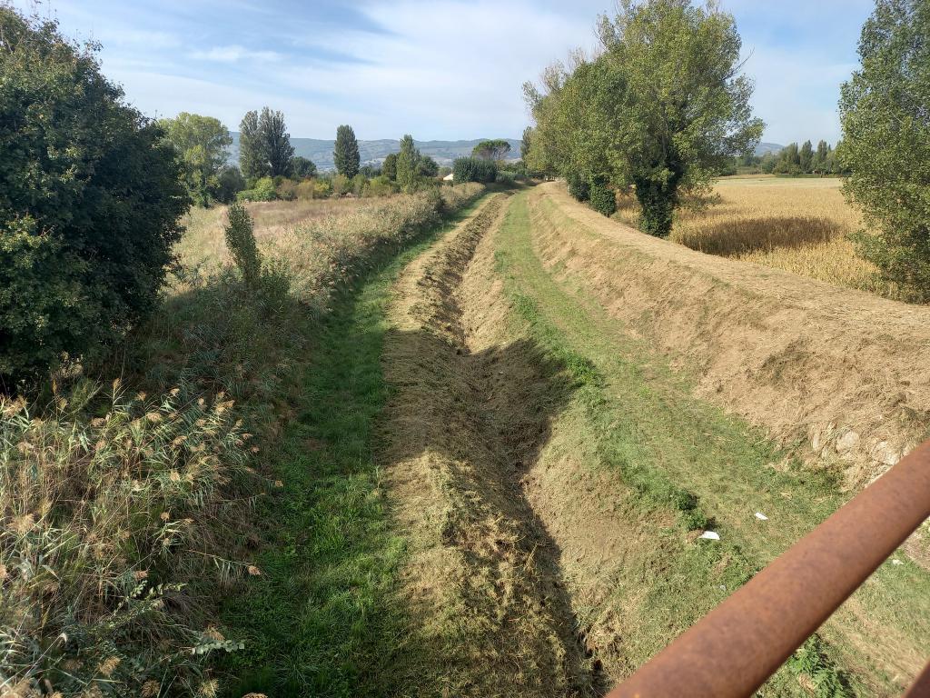  - sfalcio Torrente Chiona tratto a valle strada Budino-Cannara