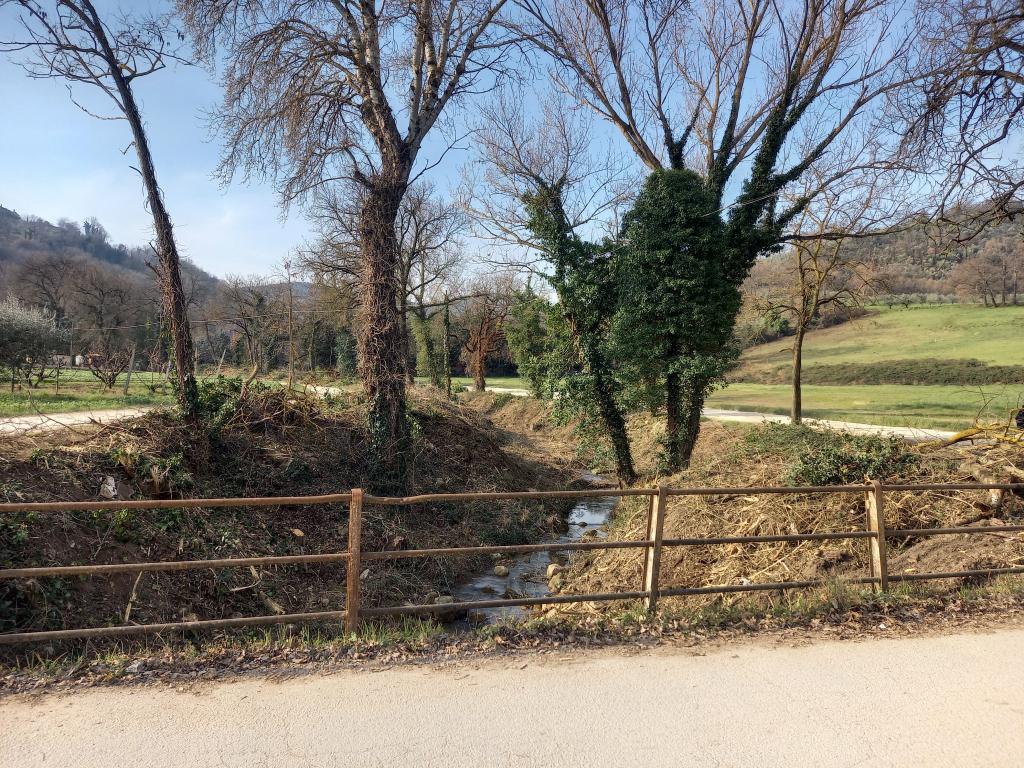  - Torrente Sambro sfalcio ed estirpatura tratto a monte ponte via Molinella