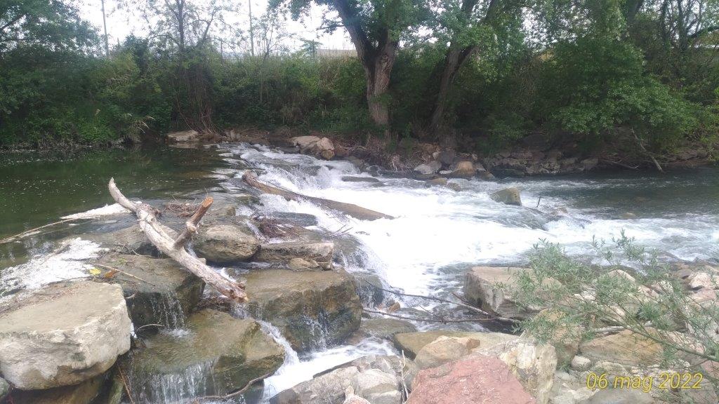  - Salto di fondo ante operam in località Petrignano di Assisi.