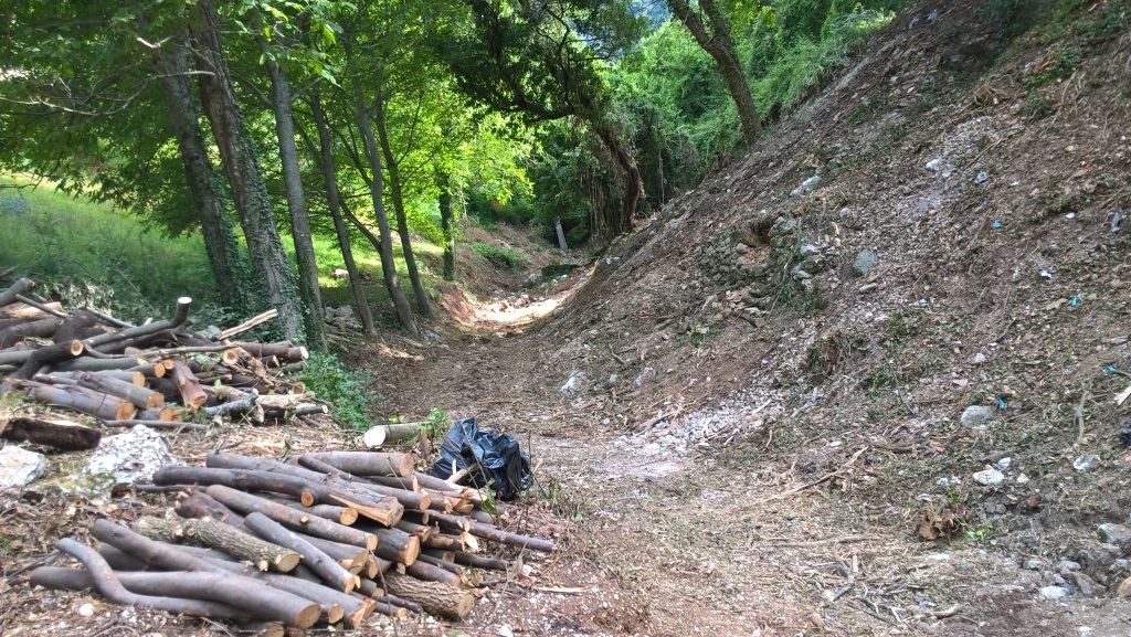  - TAGLIO VEGETAZIONE ARBUSTIVA IN ALVEO