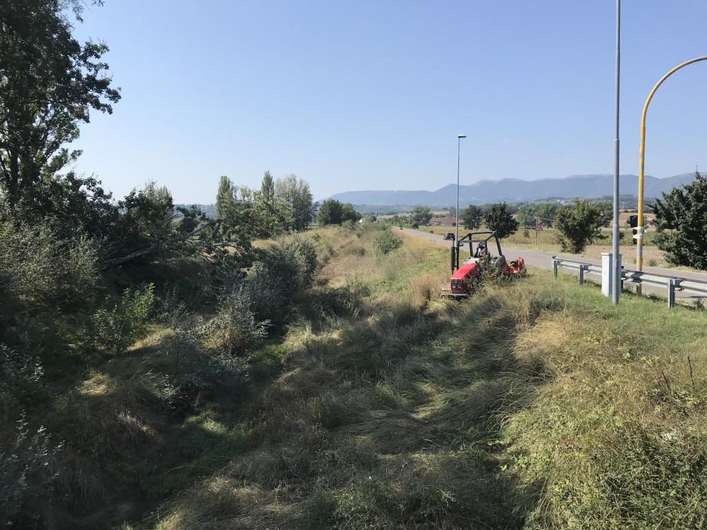  - Torrente Ruicciano, inizio sfalcio e taglio alberature