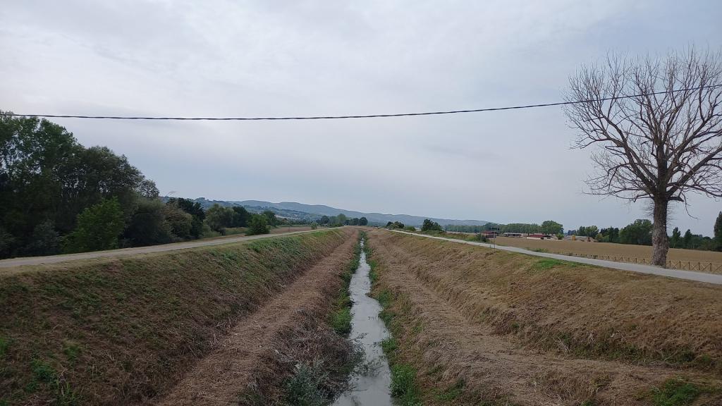  - sfalcio Torr. Teverone a valle ponte dell'Occhio