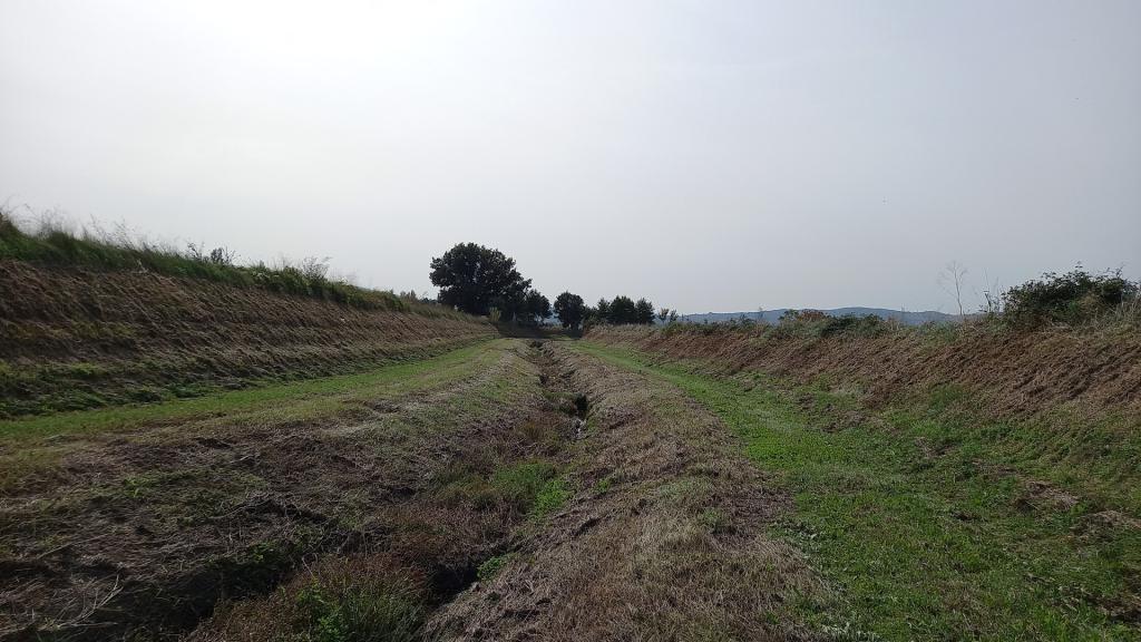  - sfalcio Torr. Chiona a valle ponte via Cascina Piermarini