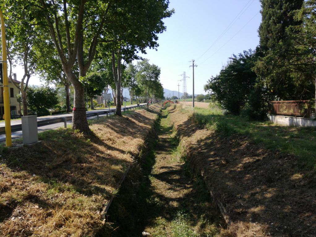  - manutenzione Alveo San Lorenzo a monte ponte San Brizio