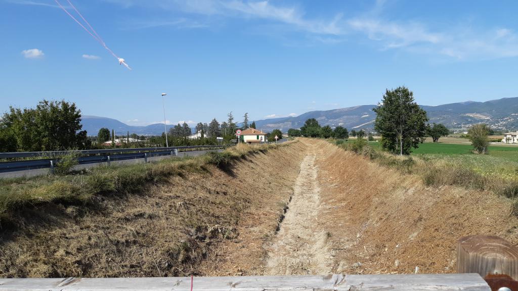  - Torrente Ruicciano a valle S.P. di Cannaiola