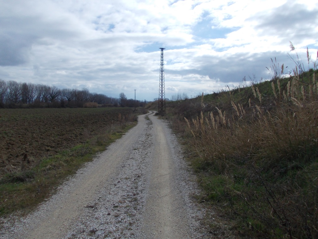  - CASSA LAMINAZIONE  CANNARA BEVAGNA - STRADE DI SERVIZIO