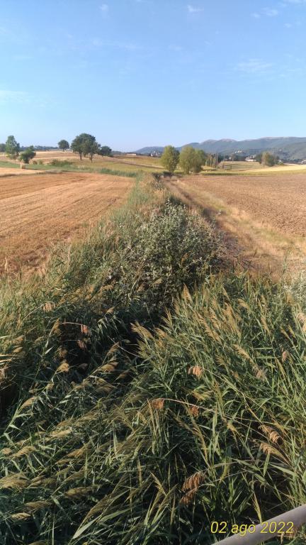  - Stato iniziale dei luoghi