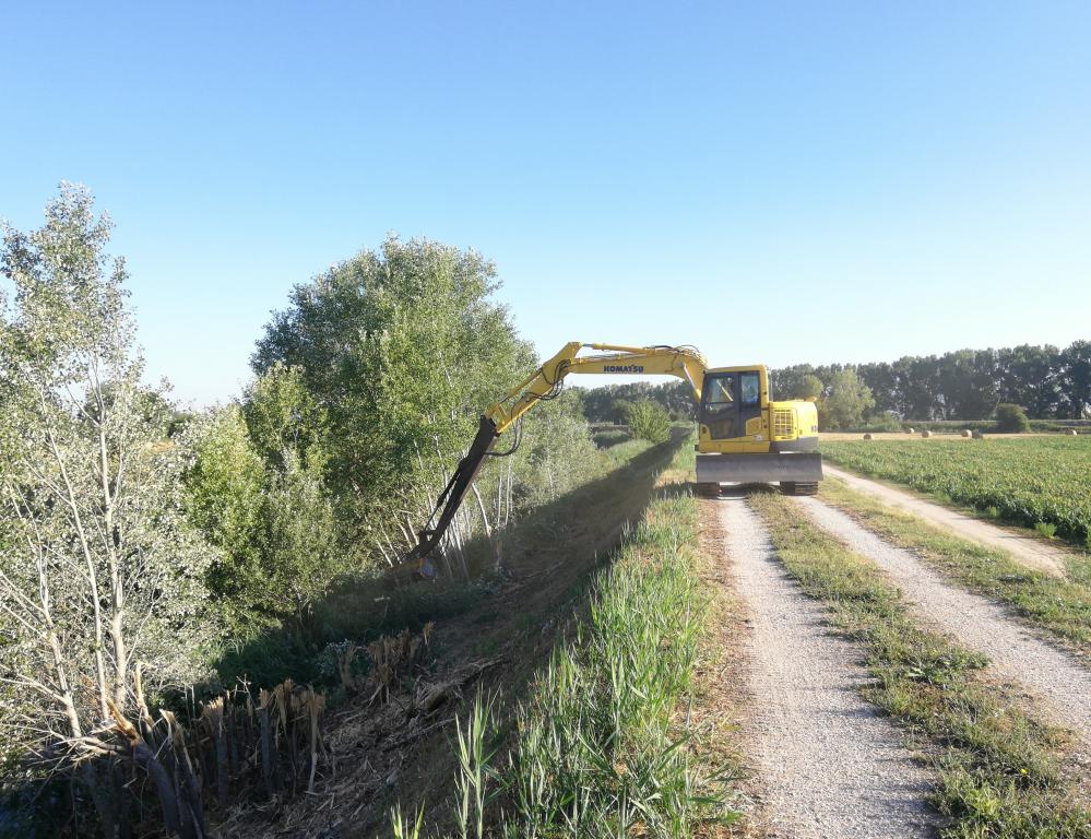  - sfalcio fiume Timia zona cassa di laminazione a monte Cannara