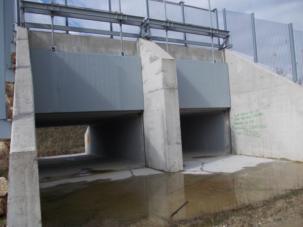  - CASSA LAMINAZIONE CANNARA BEVAGNA -SCARICO DI FONDO NEL F. TIMIA