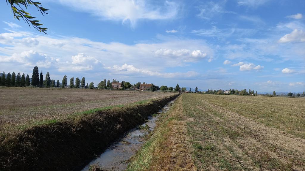  - Vaone sfalcio a monte loc. Limiti Spello