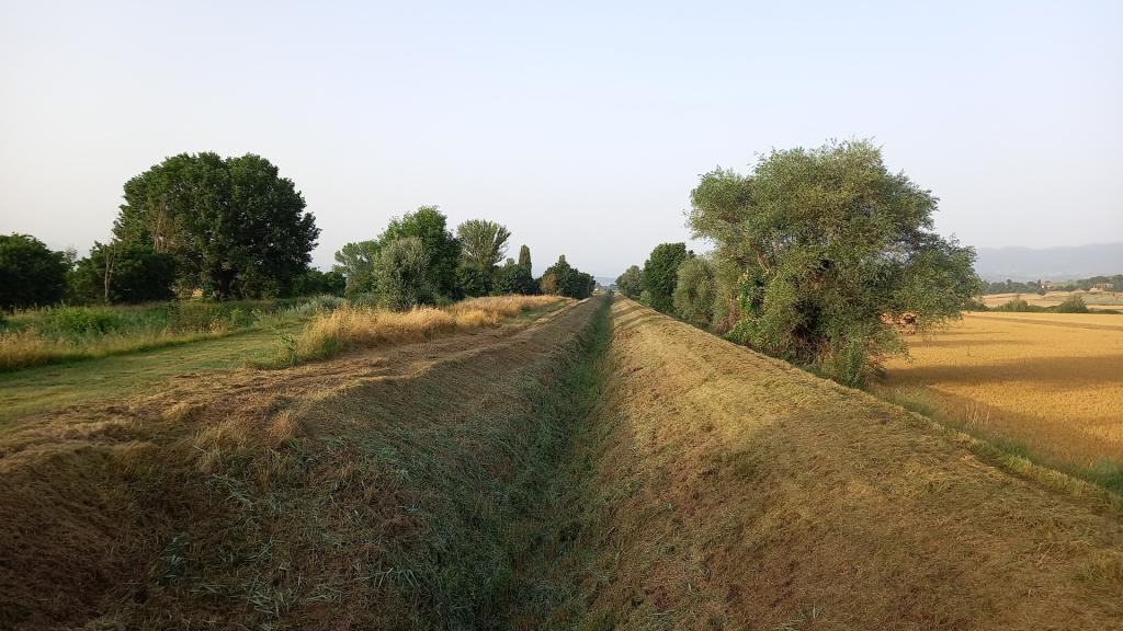  - sfalcio Torrente Cocugno a monte ponte delle Tavole