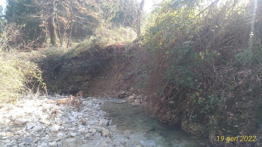  - Sponda del T. Rio in erosione sottostante a strada vicinale.