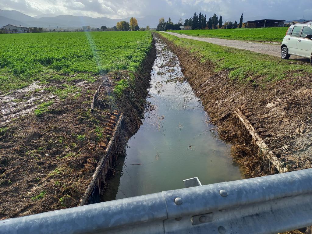  - Palizzata Fosso La Rota a valle fattoria La Morella