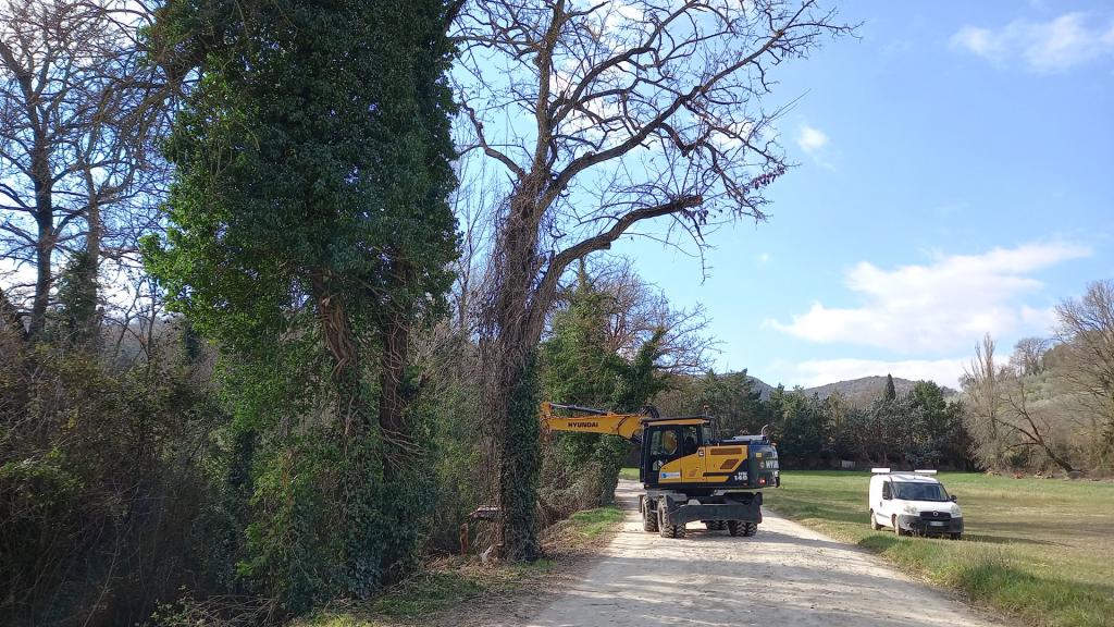  - Torrente Sambro sfalcio ed estirpatura tratto adiacente via Molinella