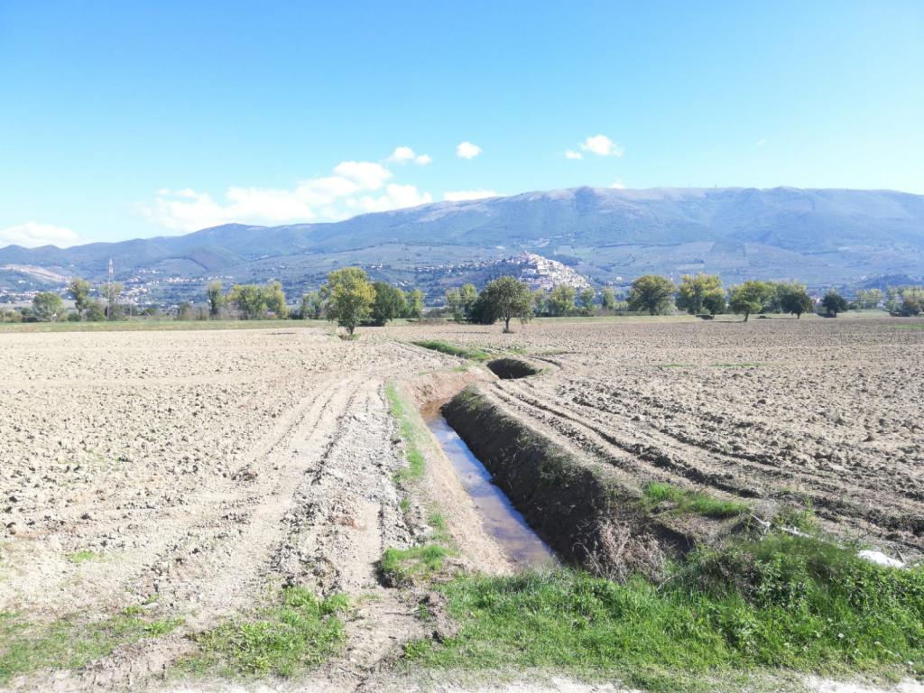  - Fossa Nuova a monte via Paduli Cannaiola