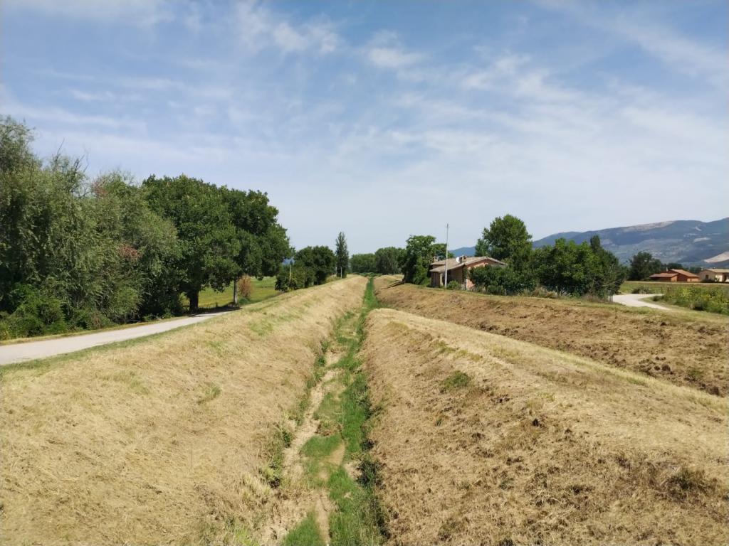  - Torrente Cocugno, incile confluenza T. Ruicciano loc. Capanne in Comune di Montefalco